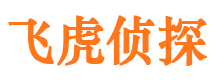 永红市私家侦探